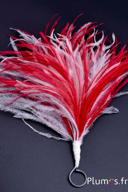 Plumet autruche avec anneau - ht 18-20 cm - rouge-blanc